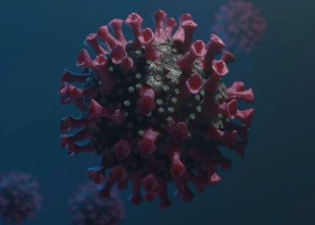 HMPV Virus Outbreak in India: What You Need to Know