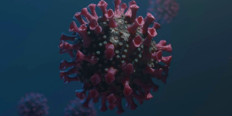 HMPV Virus Outbreak in India: What You Need to Know